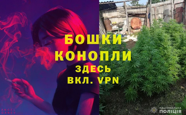 экстази Арсеньев
