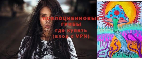 крисы Аркадак