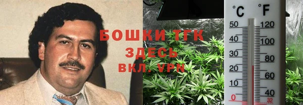 крисы Аркадак