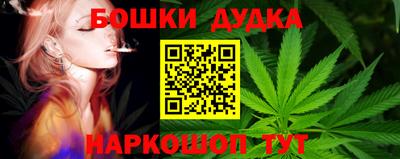 гидра Вязьма