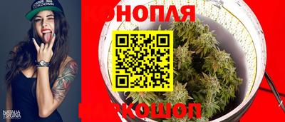 гидра Вязьма
