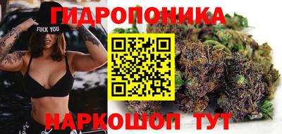 гидра Вязьма
