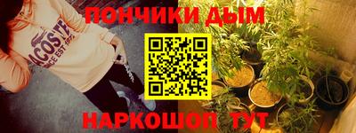 гидра Вязьма