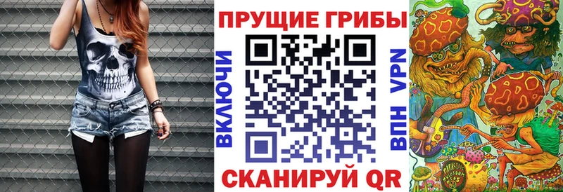 kraken   Краснотурьинск  Псилоцибиновые грибы мухоморы 