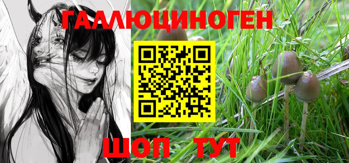 Галлюциногенные грибы Psilocybe Краснотурьинск